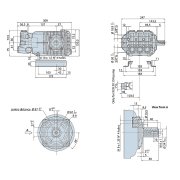 XWF26.20 Annovi Reverberi 24mm Solid Shaft Pump - 200 Bar / 3000 Psi - 1000rpm - 26lpm