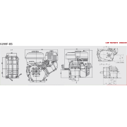 Loncin G200F-B5 196cc / 5.5Hp Engine - 20mm parallel shaft, 2:1 Reduction Box