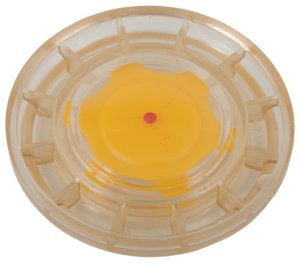 Oil Sight Glass