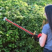 Cobra HT55040VX 40V Cordless Hedgetrimmer with Battery & Charger