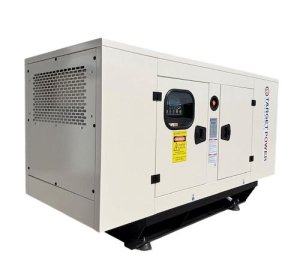 Target Power TB22-1 20 kVA / 16kW Prime Baudouin Single Phase Diesel Generator