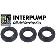 Interpump Service/Repair - 3 x Oil Seals - Kit271